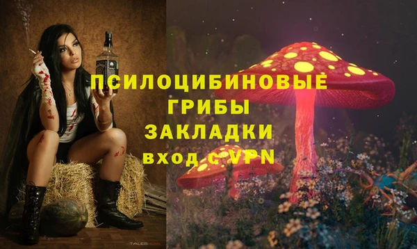 гидропоника Арсеньев
