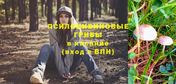 гидропоника Арсеньев