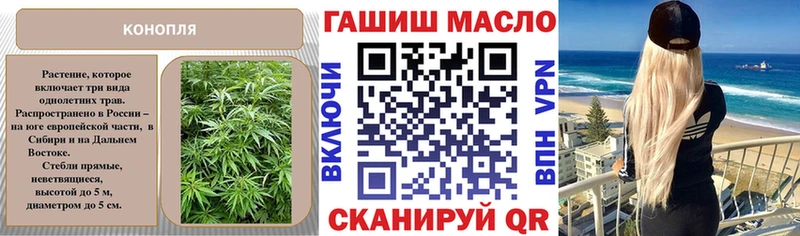 ТГК концентрат  Купить где  Подпорожье 